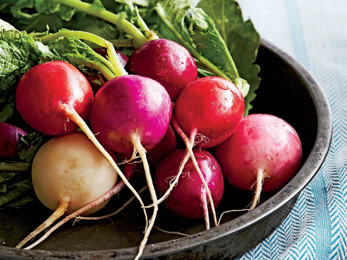 Easter Egg Radish Seeds - Non-GMO, Fast Harvest, Colorful Mix, Raphanus sativus, Vegetable Seeds, Garden Planting Pack