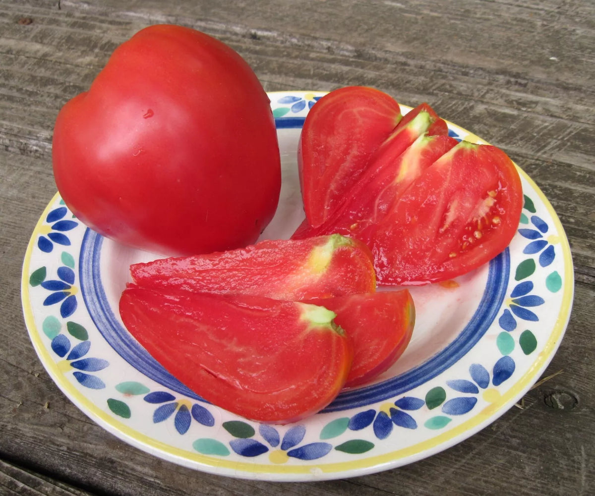 Anna Russian Tomato Seeds - Heirloom Organic Non-GMO Pack of 30+ for Home Gardening, Juicy Pinkish-Red Tomatoes, Easy to Grow