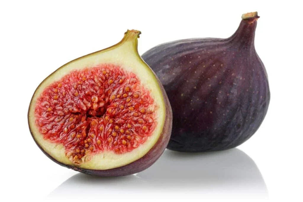 Osborne Prolific Fig Seeds - 100+ Premium Ficus carica Seeds - USA
