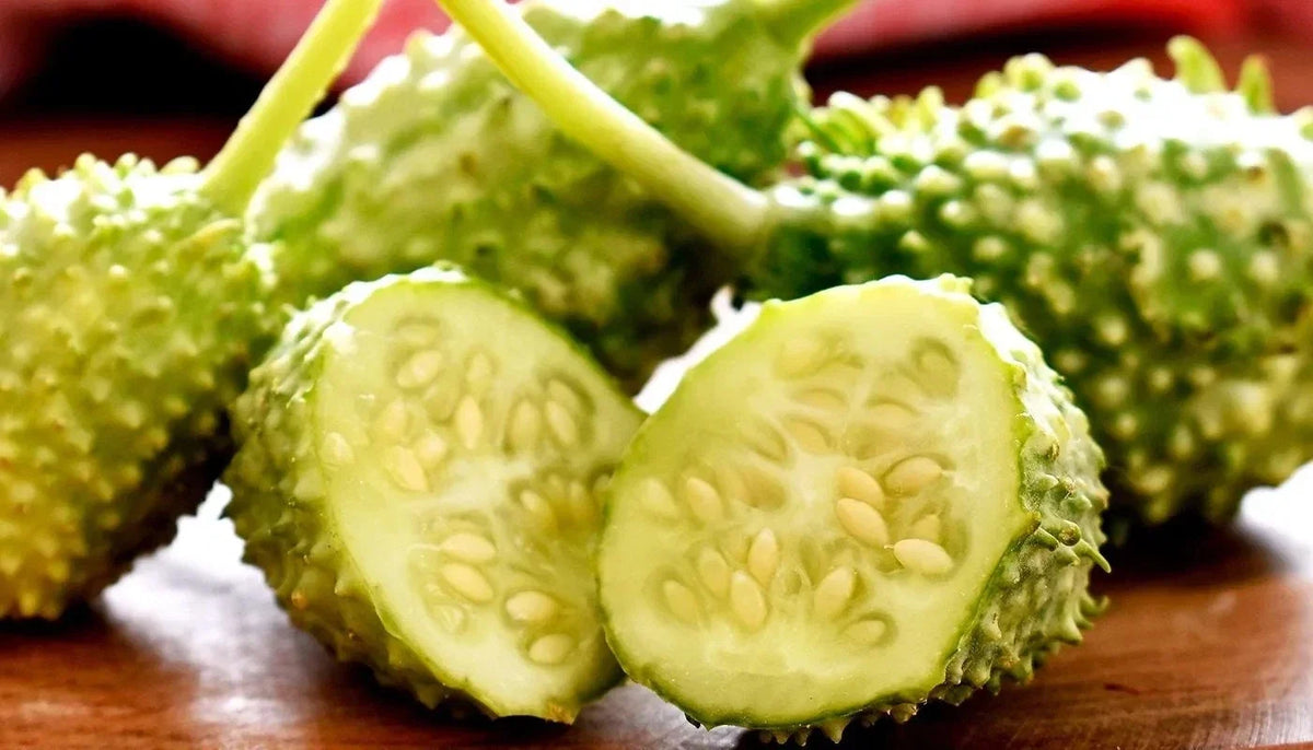 West Indian Gherkin Seeds - 100+ Burr Spike Cucumber Seeds - Cucumis anguria - Rare Heirloom Variety for Pickling & Salads