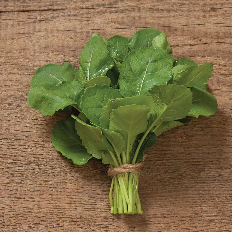 Ethiopian Kale Seeds - 2,000 Non-GMO Heirloom Seeds - Brassica Carinata - Organic Vegetable Garden Planting