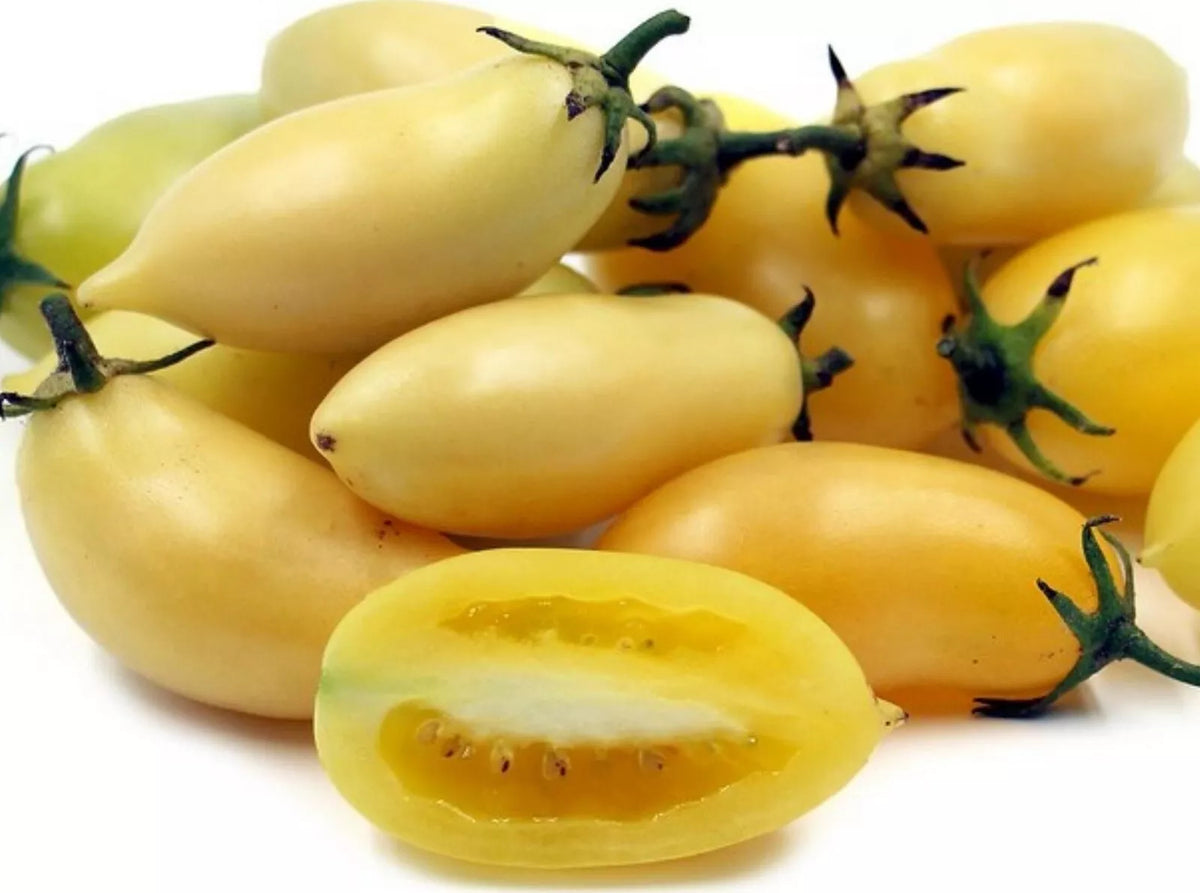 Cream Sausage Tomato Seeds - 120+ Heirloom Organic Non-GMO - Rare Variety for Home Gardening - Perfect for Fresh Salsa