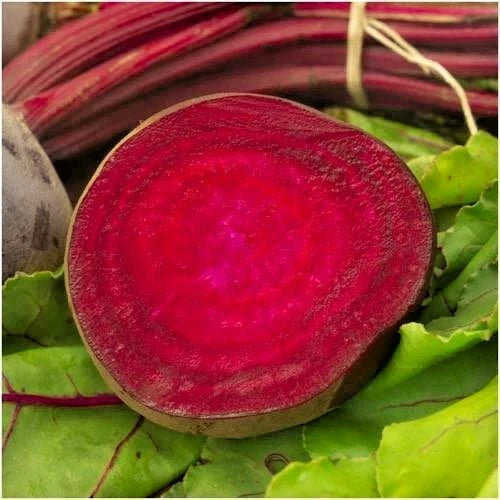 Bulls Blood Beet Seeds - 101+ Heirloom Vegetable Seeds for Garden & Patio - Easy to Grow (Beta vulgaris)