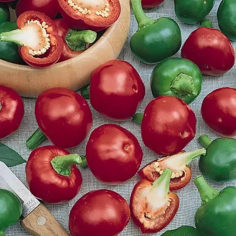 Red Cherry Hot Pepper Seeds - 120+ Count - Non-GMO Heirloom Organic - Pimenta
