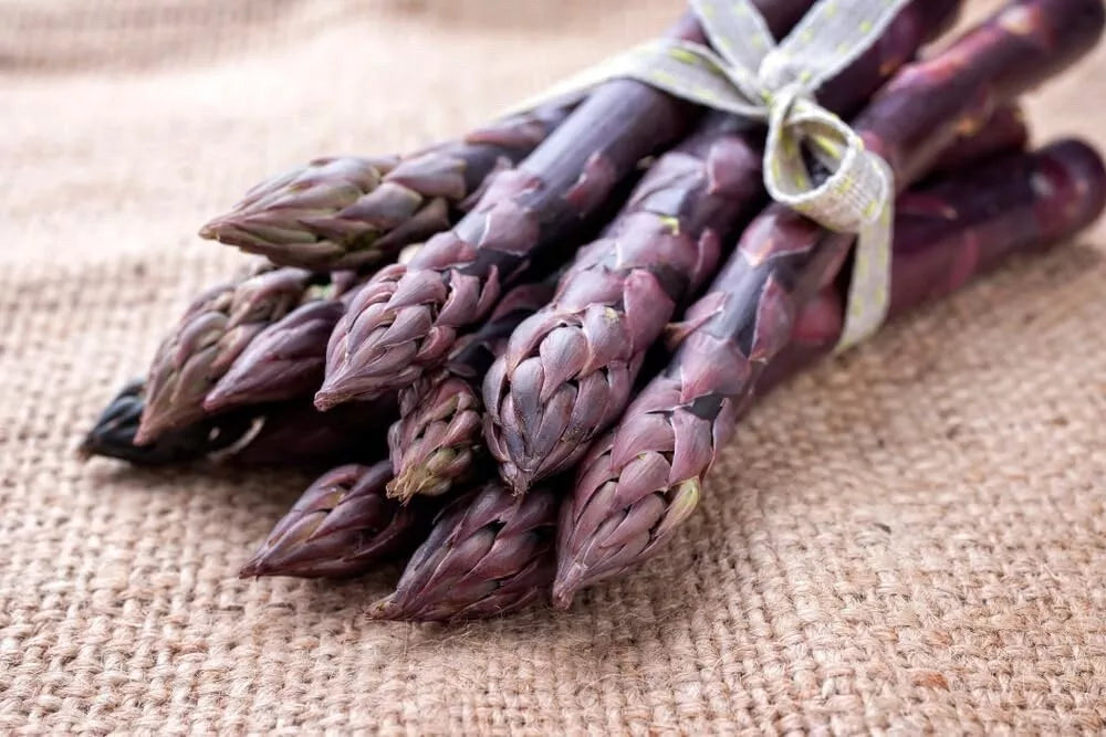 Purple Passion Asparagus Bare Root Plants - 2-Year Crowns - Live Asparagus