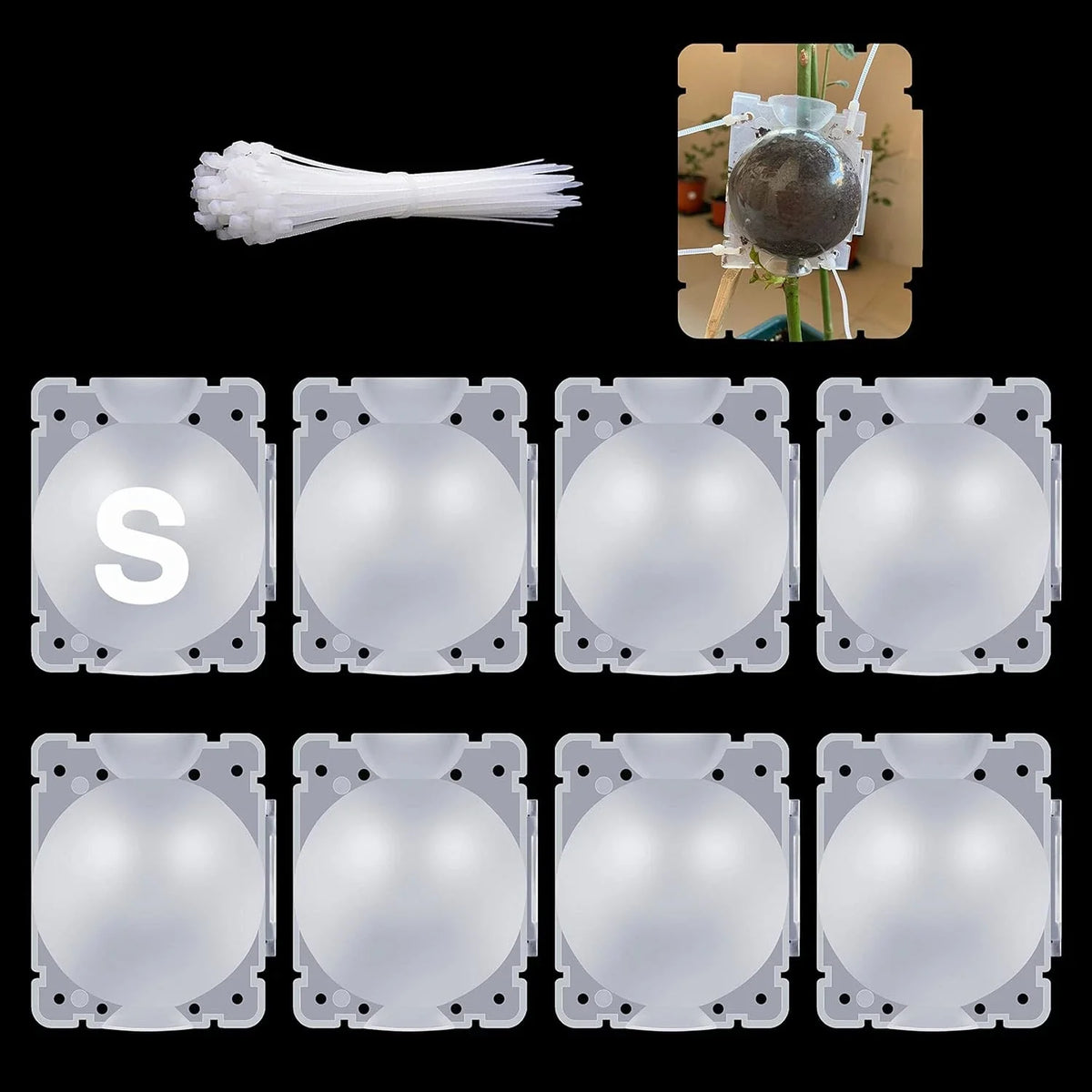 Air Layering Pods - 8 Pcs Small Transparent Plant Rooting Propagation Balls for Healthy Growth