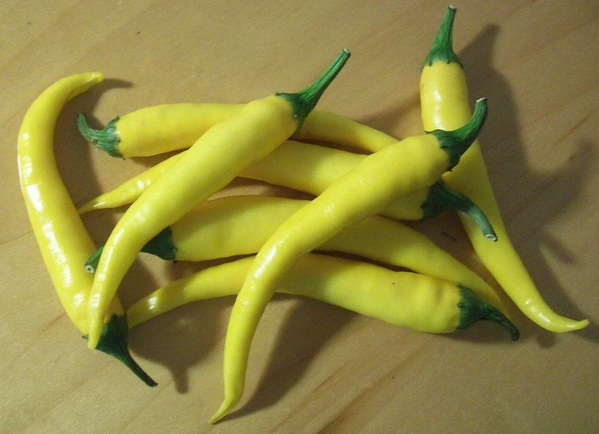 Yellow Cayenne Hot Pepper Seeds - Non-GMO, Spicy Capsicum annuum, 50+ Seeds for Garden, Culinary, and Cooking
