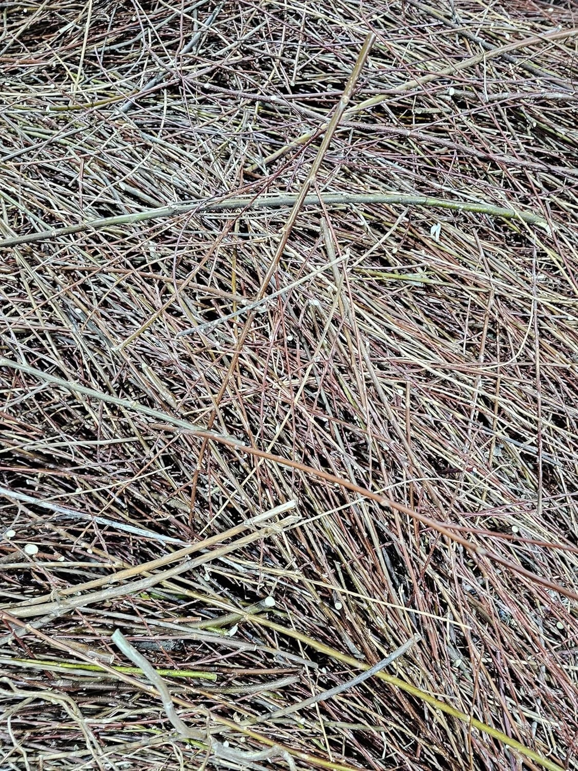 Natural Willow Tree Straw | Organic Mulch & Animal Bedding | Eco-Friendly Plant Material