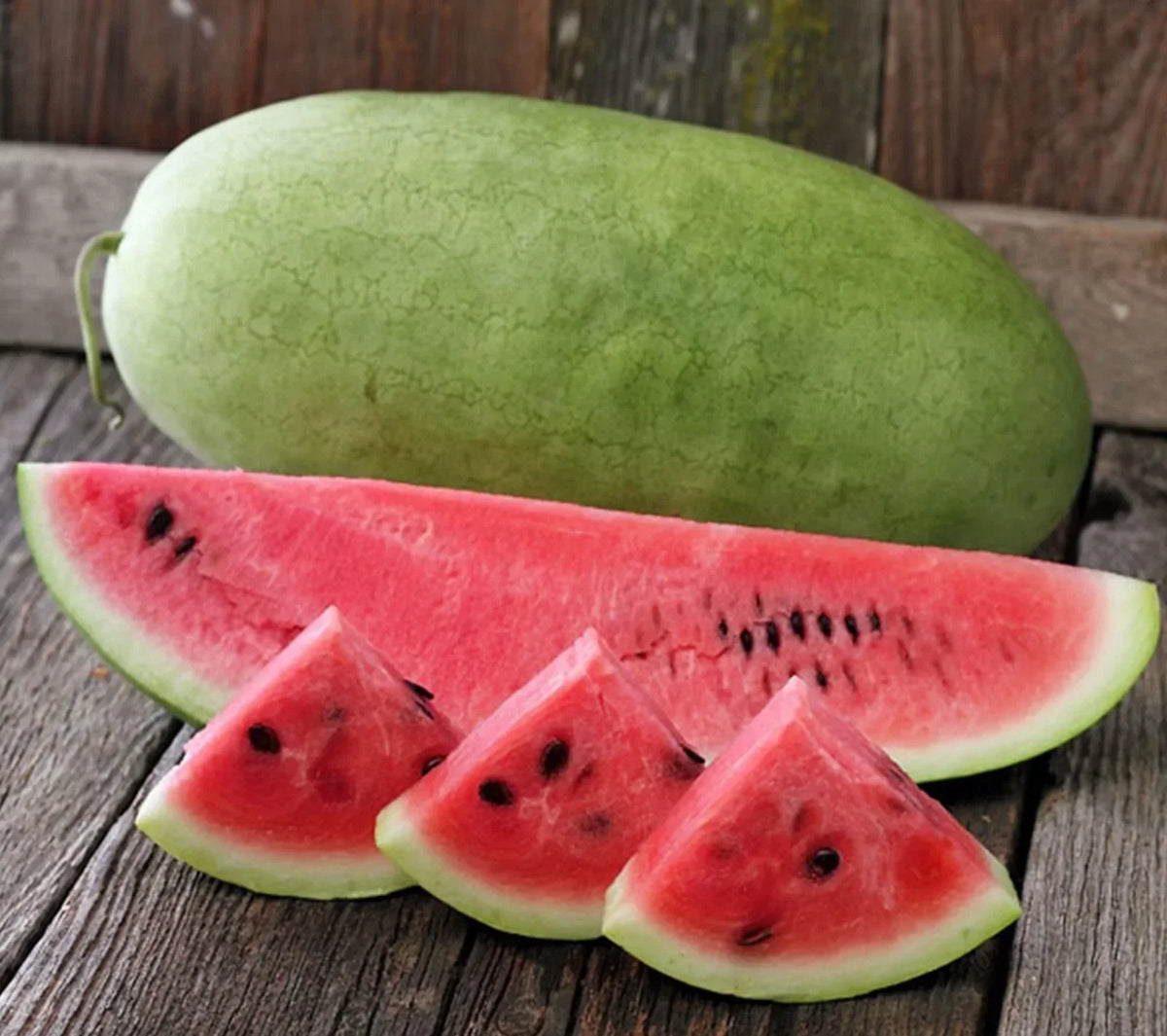 Charleston Grey Watermelon Seeds – Organic, Heirloom Citrullus lanatus, Non-GMO, Large Oval Melons, Sweet and Crisp, Pack of 25 Seeds