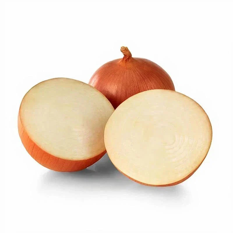 Catskill Onion Seeds - 100 Allium cepa Seeds for Planting
