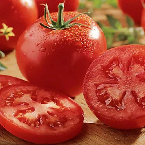 Celebrity Tomato Seeds | F1 Hybrid | Non-GMO | Heirloom Variety | Solanum lycopersicum