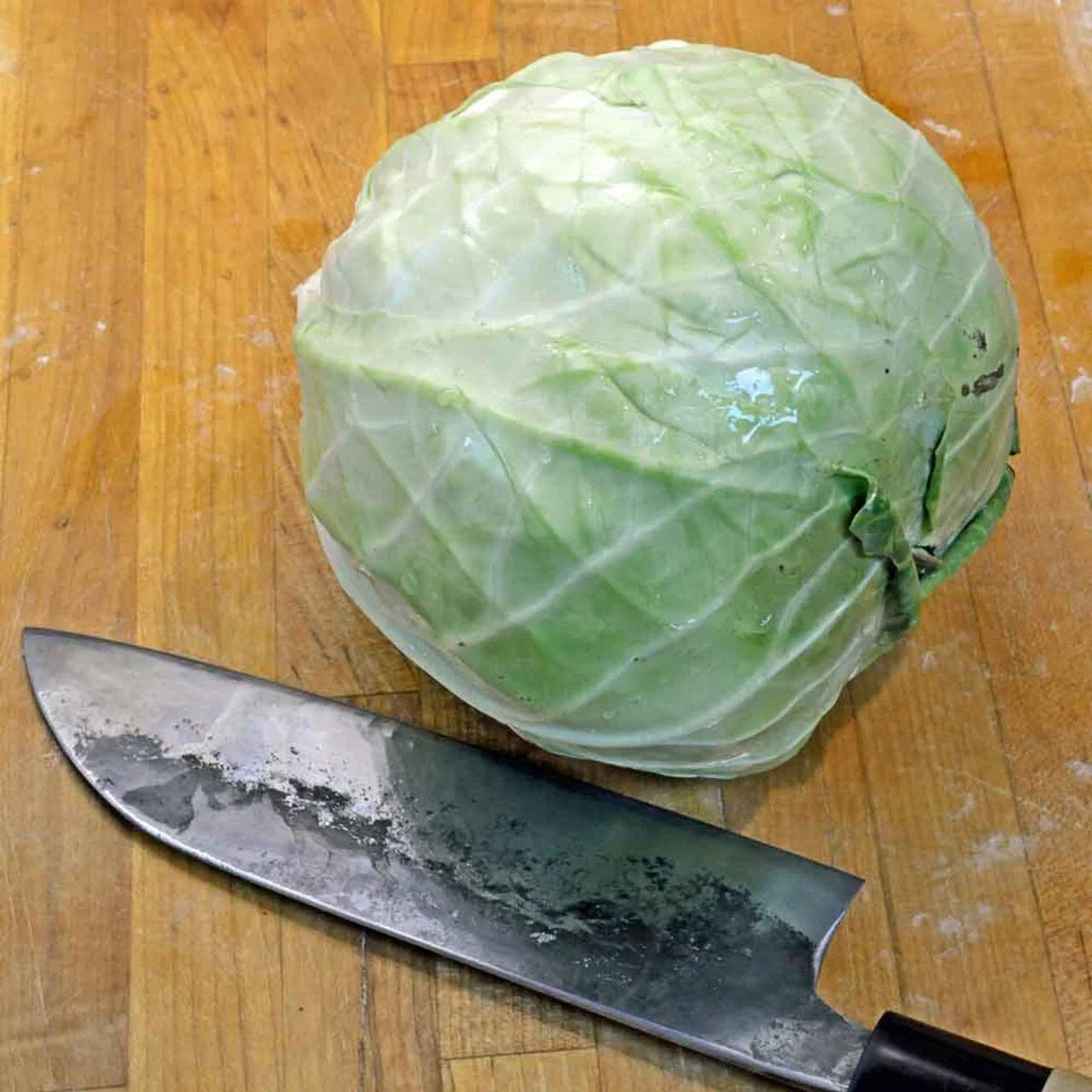 Cabbage Seeds 2000+ Danish Ballhead Heirloom NON-GMO Fresh Seeds (Brassica oleracea)