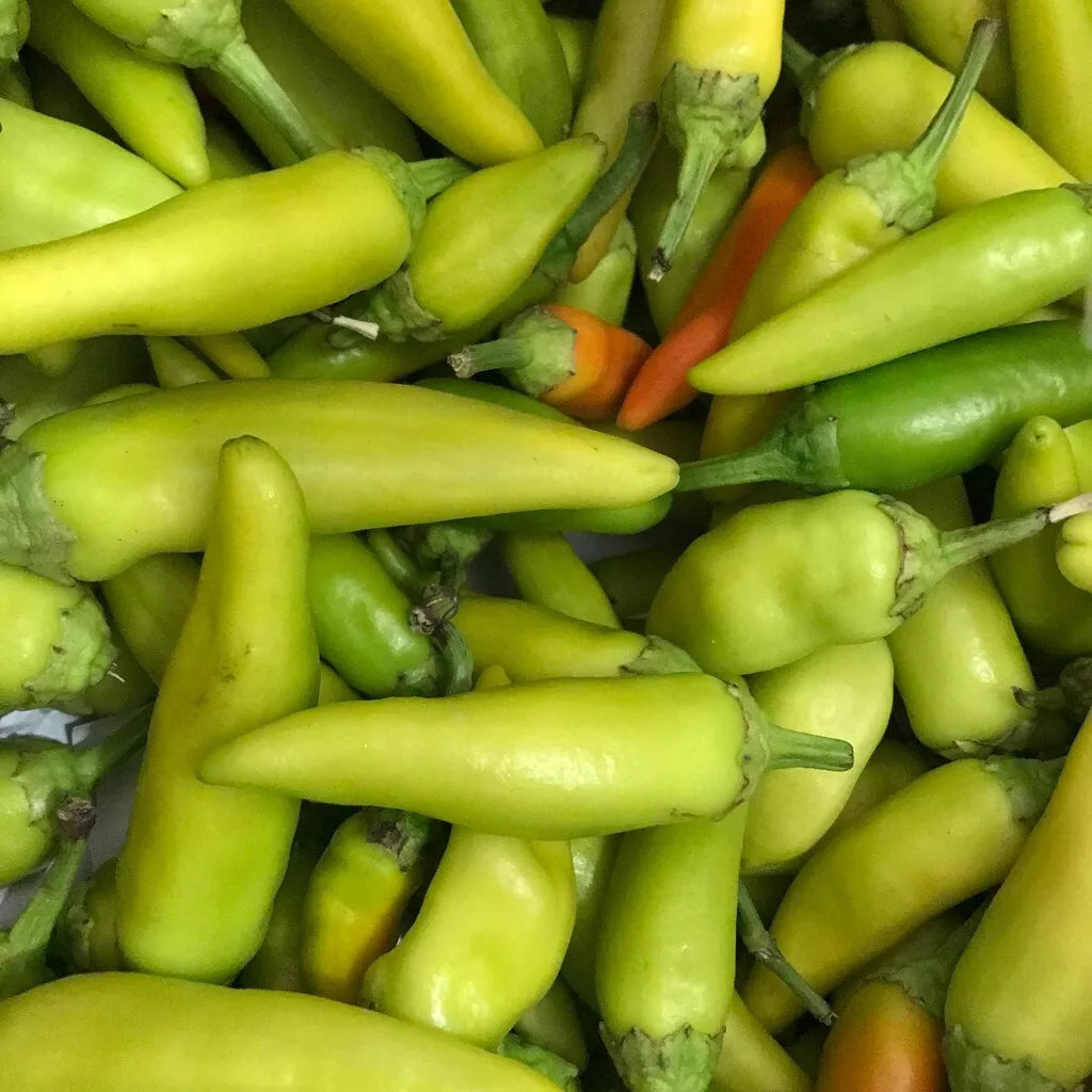 Pepperoncini Seeds 25+ Non-GMO Heirloom Italian Capsicum annuum Vegetable for Salads & Pickling