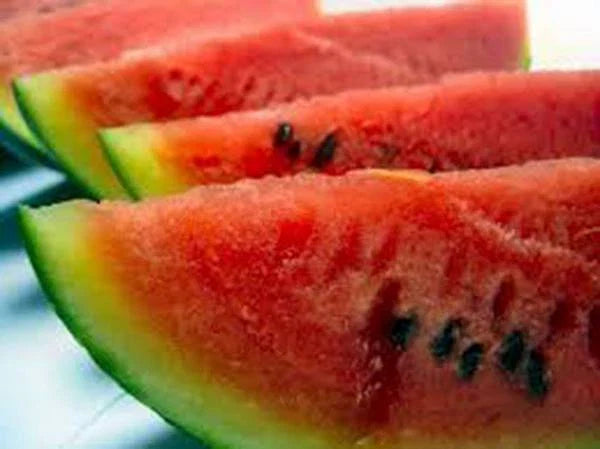 Watermelon Seeds, 100 Heirloom Charleston Grey Seeds, Citrullus lanatus, Non-GMO Watermelons