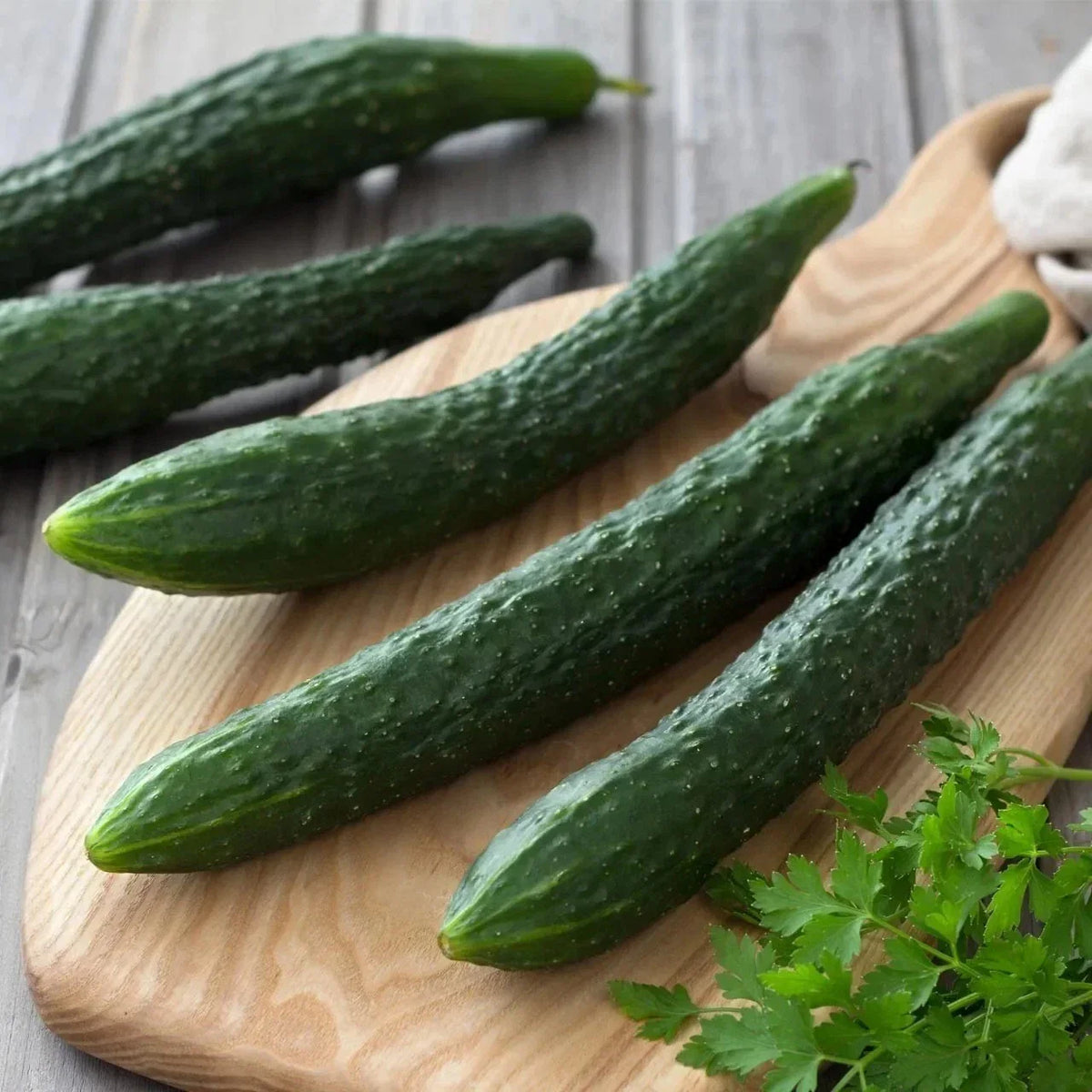 Suyo Long Cucumber Seeds - Heirloom Non-GMO Organic - Rare Vegetable Seeds - Cucumis sativus