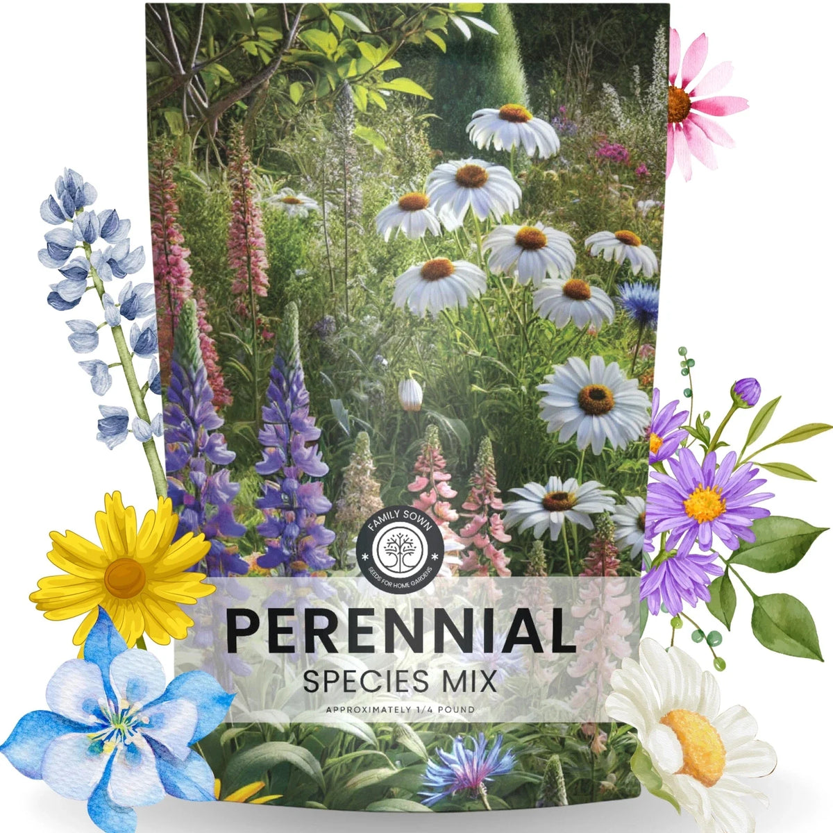 Perennial Wildflower Seed Mix Bulk 1/4 Pound Native Flower Varieties for Pollinators