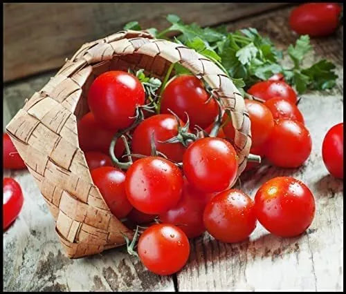 Dwarf Cherry Tomato Seeds | 100+ High Yield Seeds | Solanum lycopersicum