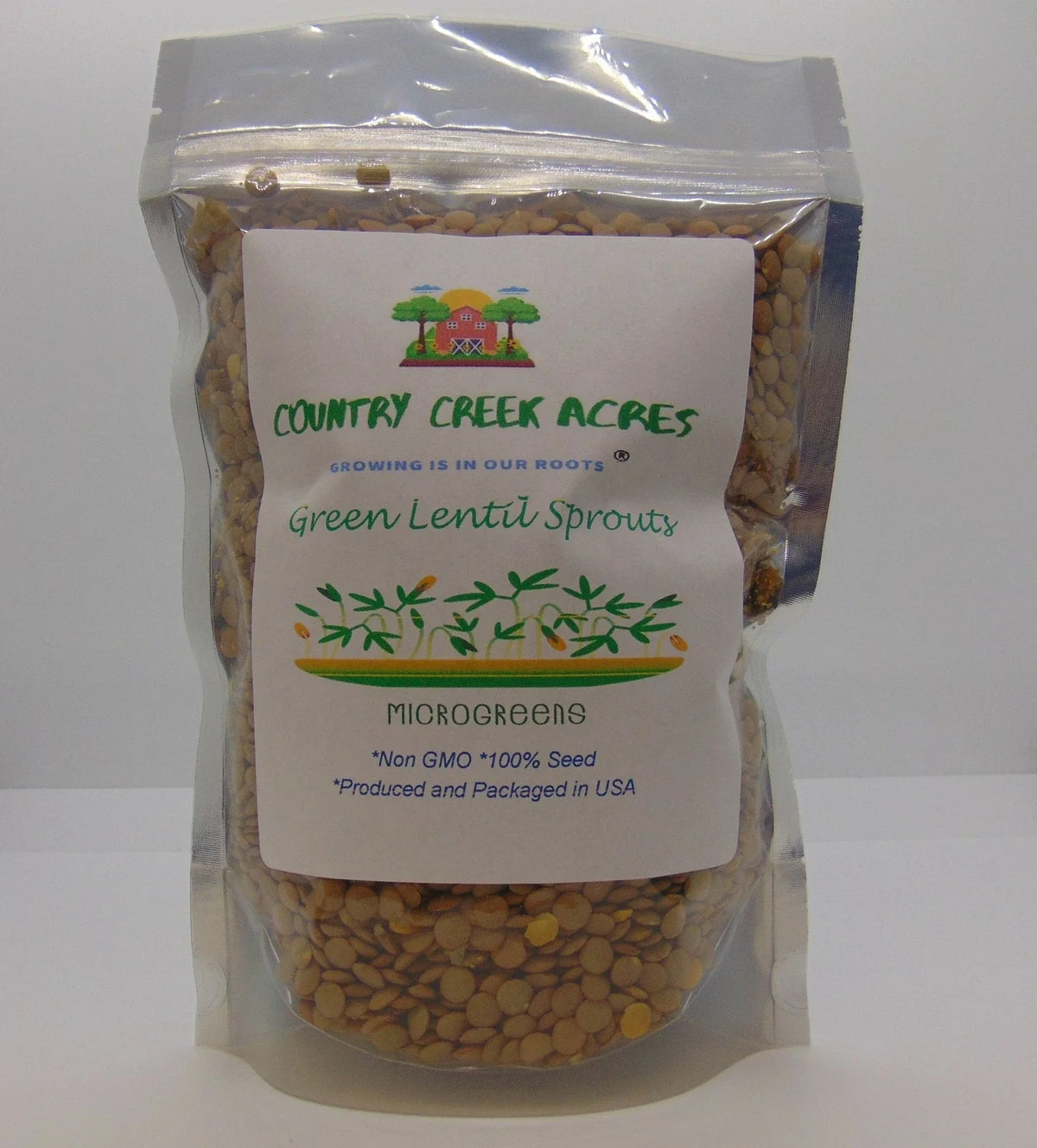 Green Lentils 2 oz Dried Legumes, Rich in Protein and Fiber, Lens culinaris