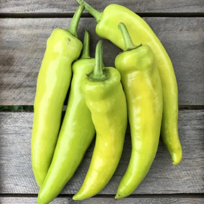 Hungarian Hot Wax Pepper Seeds - Guero Yellow Variety - 15,000 Scoville - Ideal for 2025 Planting - Capsicum annuum