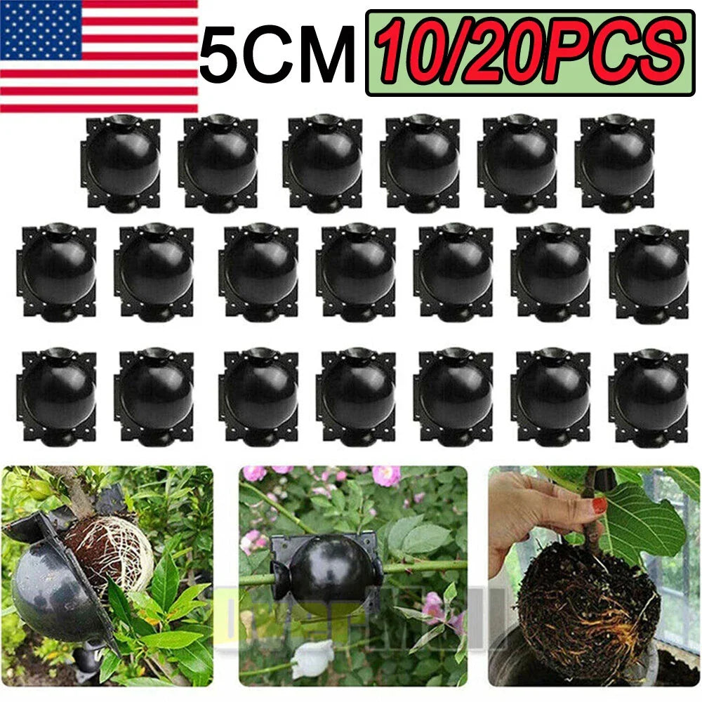 Plant Rooting Devices 10/20X High Pressure Grafting Boxes for Indoor Propagation Hydroponics