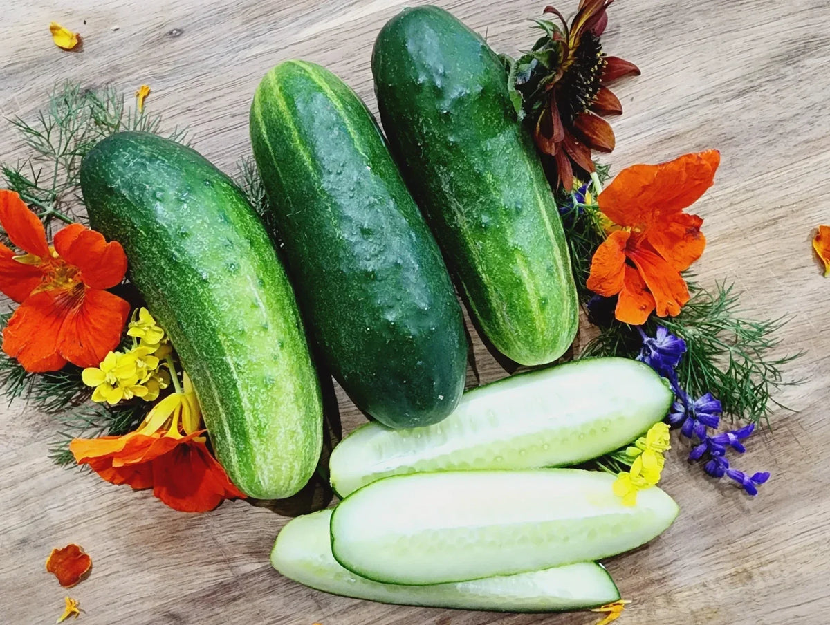 Wisconsin SMR-58 Cucumber Seeds - Organic Non-GMO Heirloom Pickling Seeds - Cucumis sativus - 200+ Seeds for Home Garden