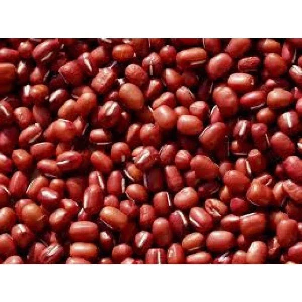 Small Red Soup Bean Seeds - Phaseolus vulgaris - Compact Bush Type - Edible Legumes for Home Gardens and Cooking