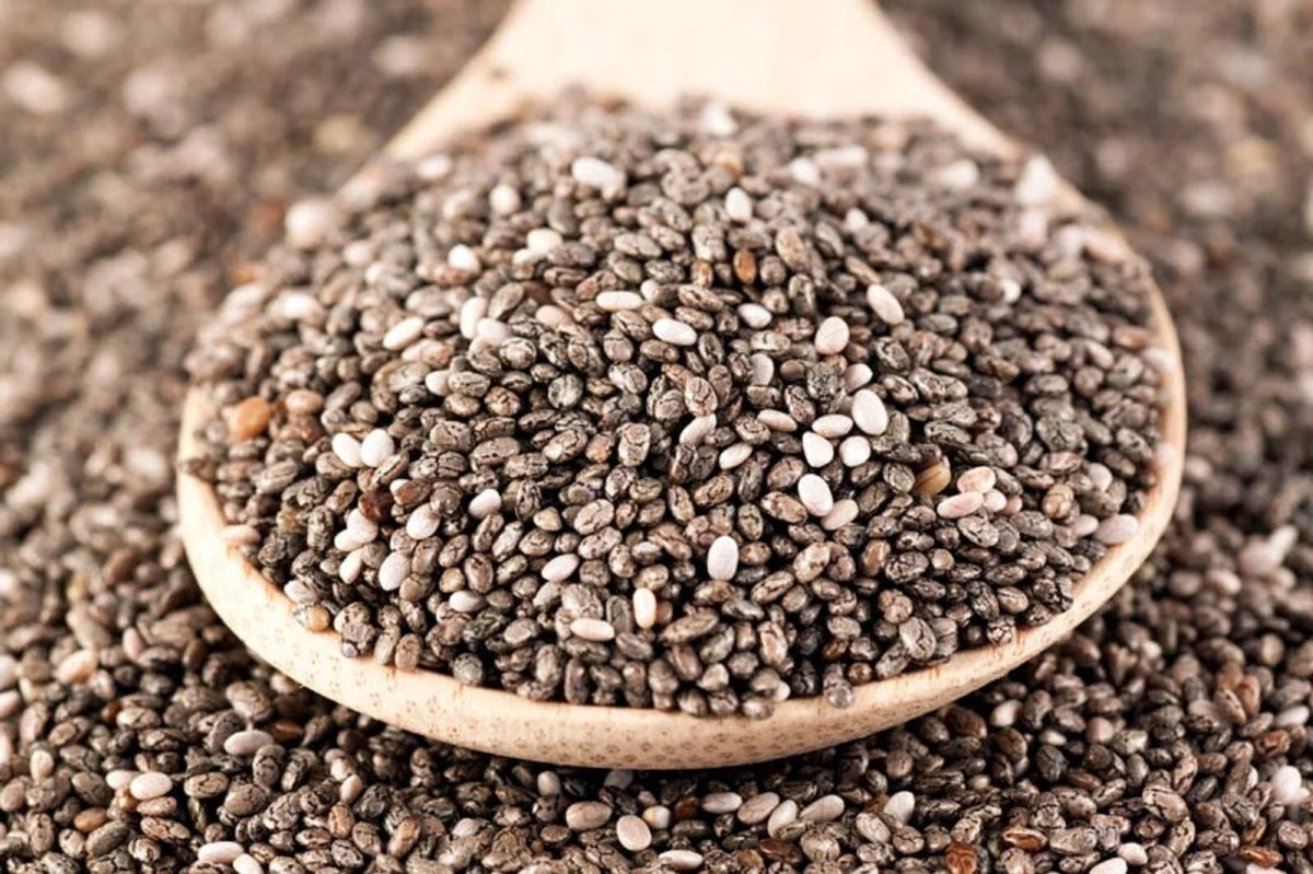 Chia Seeds, 12 Ounces, Microgreens and Sprouting, Salvia hispanica, Organic Superfood for Healthy Living