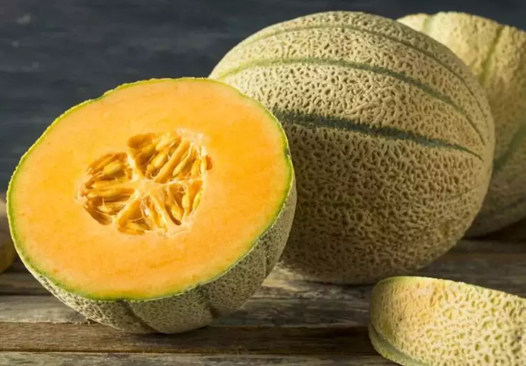 Organic Honey Rock Cantaloupe Seeds – Heirloom, Non-GMO, Juicy Melon Seeds for Home Garden, Cucumis melo