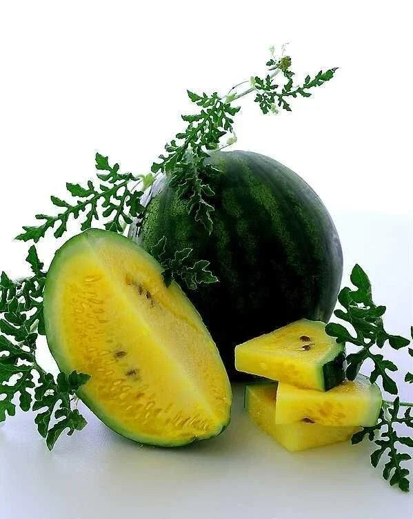 Golden Honey Watermelon Seeds - Heirloom Non-GMO Citrullus lanatus, Packaged Garden Seeds for Full Sun, Vining, Juicy Fruit