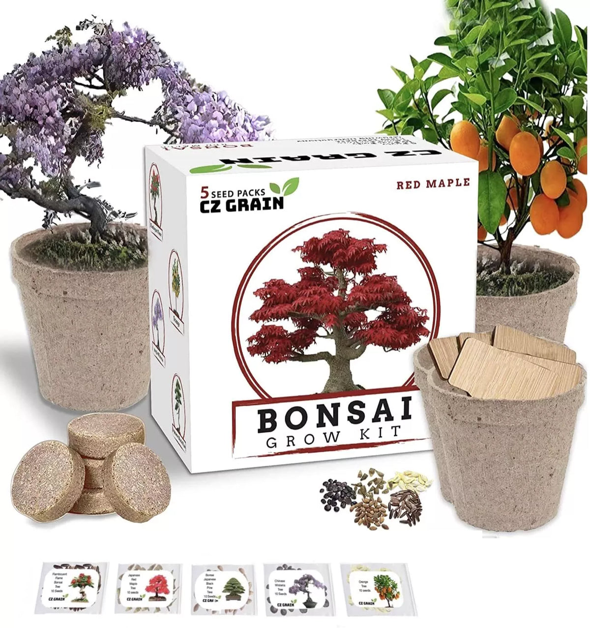 Bonsai Tree Kit - Grow 5 Species Including Ficus, Juniper, Pine, Maple, Elm