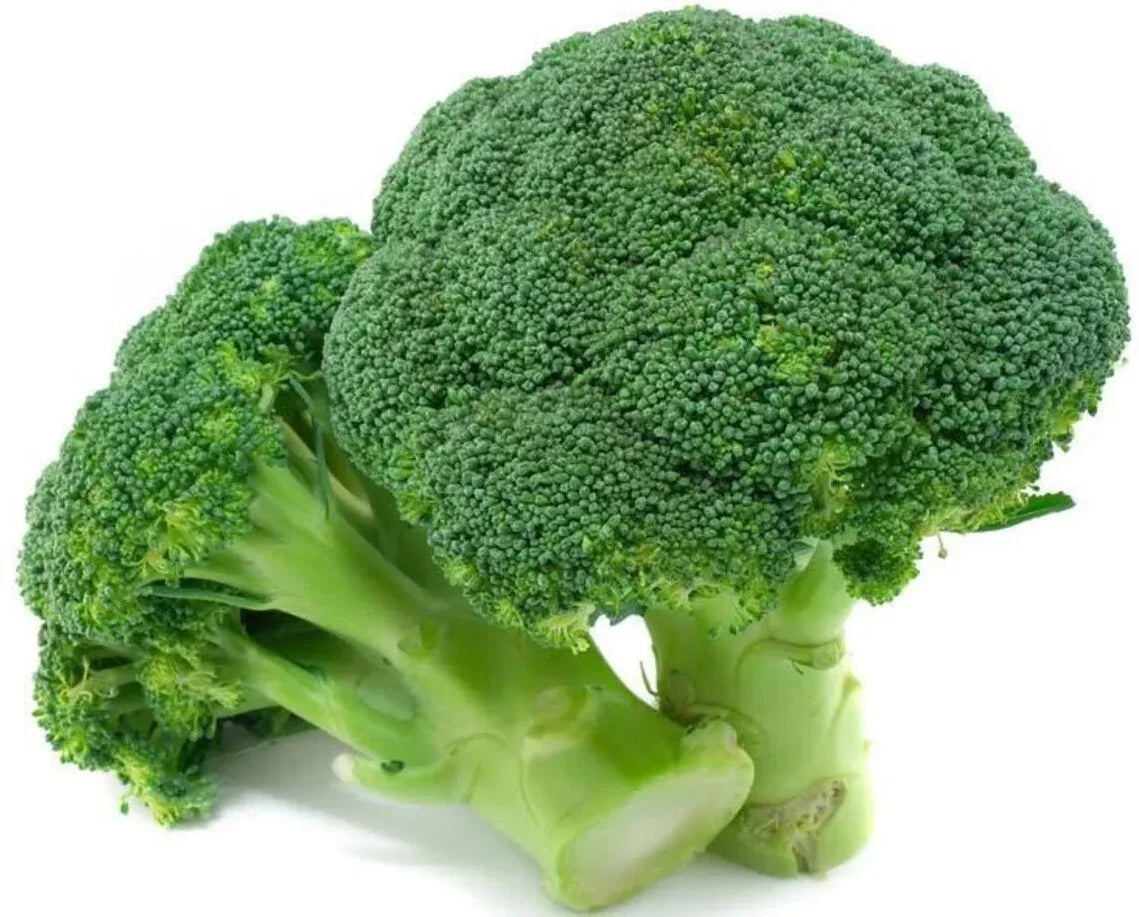 50+ Organic Heirloom Broccoli Seeds - Waltham 29 - Non-GMO Garden Seeds for Planting