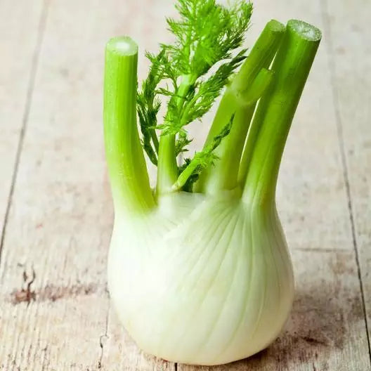 Florence Fennel Seeds - 400 Non-GMO Herb Seeds - Foeniculum vulgare dulce - USA Seller, Free Shipping