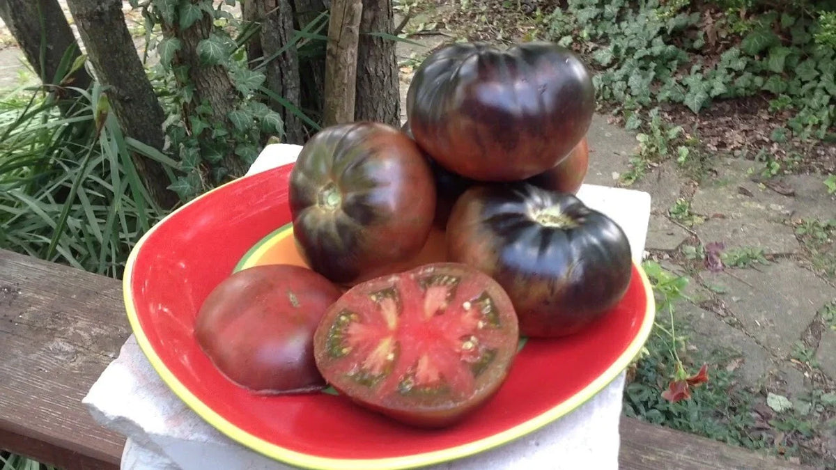 Organic Black Beauty Tomato Seeds - 10+ Heirloom Seeds - Rare Variety - Solanum lycopersicum