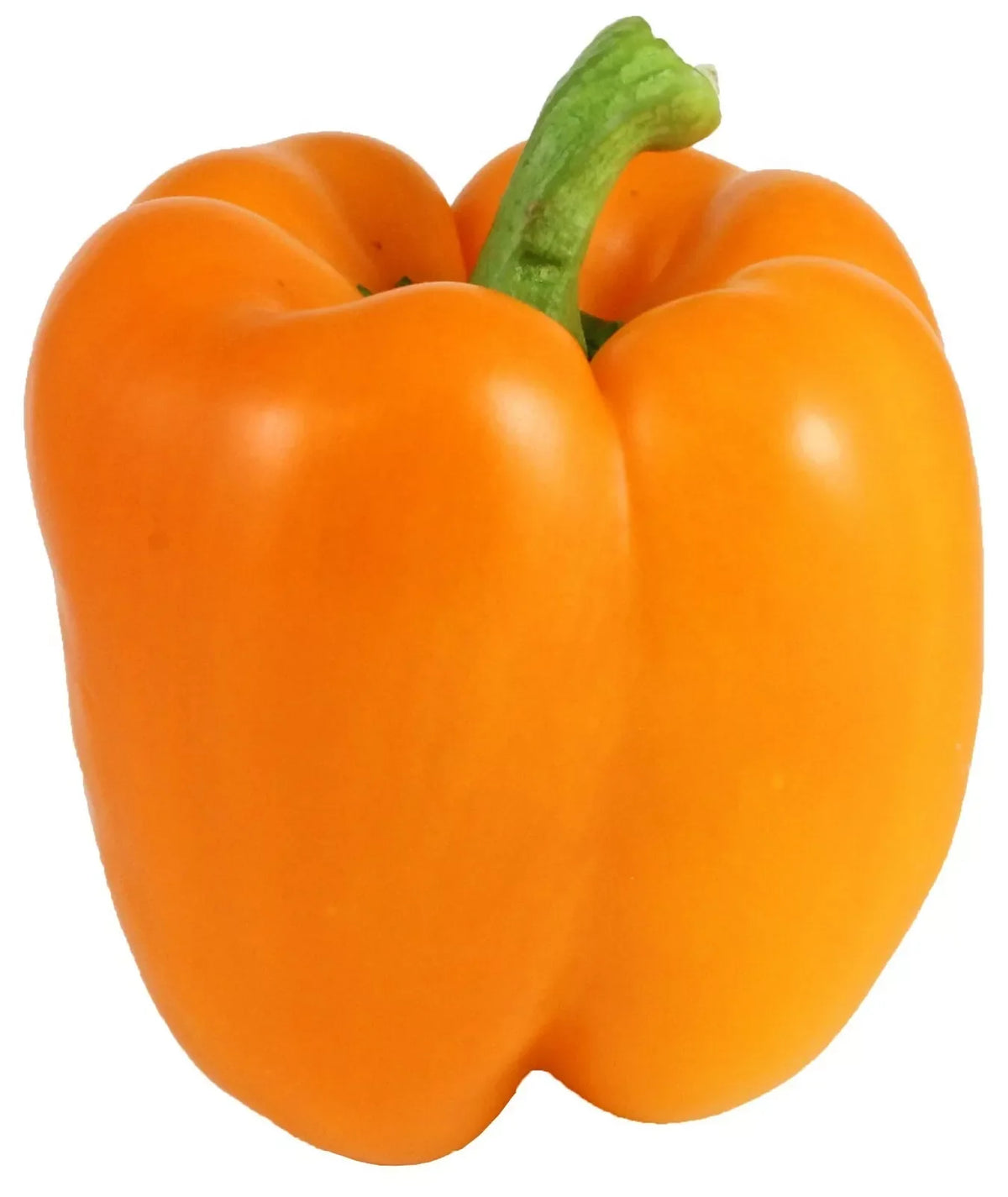 Orange Bell Pepper Seeds - 50+ Non-GMO Heirloom Seeds for Fresh Garden | Capsicum annuum