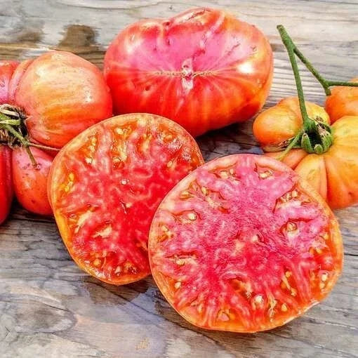 Heirloom Hillbilly Tomato Seeds - Organic Non-GMO, Rare Solanum lycopersicum, Juicy Yellow-Orange Tomatoes, Home Garden, Seed Packet