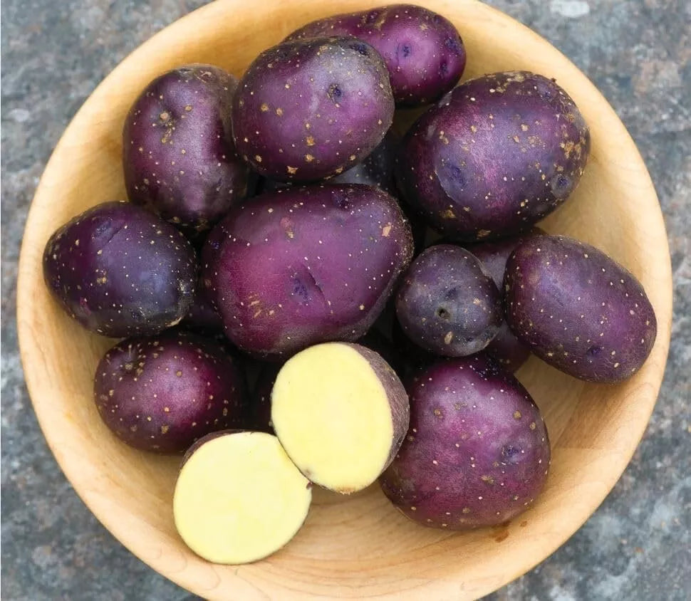 Harvest Moon Baby Seed Potatoes for Planting - Small, Organic, Early Season Variety (Solanum tuberosum)