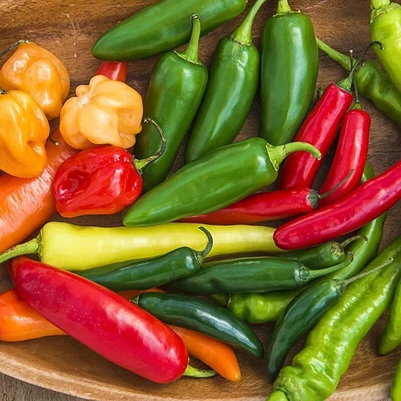 Hot and Happy Pepper Mix Seeds - Heirloom Variety, 100+ Seeds, Culinary and Garden Use, Capsicum spp.