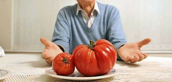 Behemoth Giant Tomato Plants - Heavy Yielding, Largest Fruit Variety - Perfect for Home Gardens - (Solanum lycopersicum)