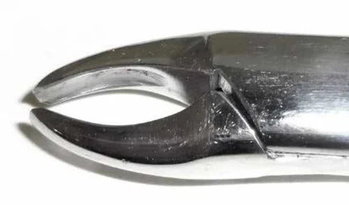 Dental Forcep #201
