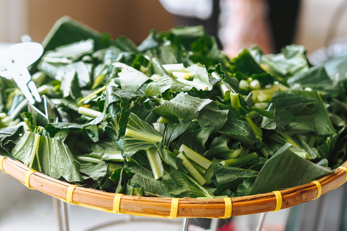 3000 FLORIDA BROADLEAF MUSTARD Brassica Juncea Herb Vegetable Seeds