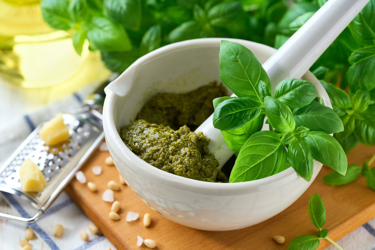 200 MOZZARELLA BASIL Sweet Italian Heirloom Ocimum Basilicum Herb Flower Seeds