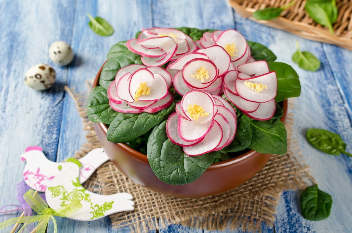 2000 CRIMSON GIANT RADISH Raphanus Sativus Vegetable Seeds