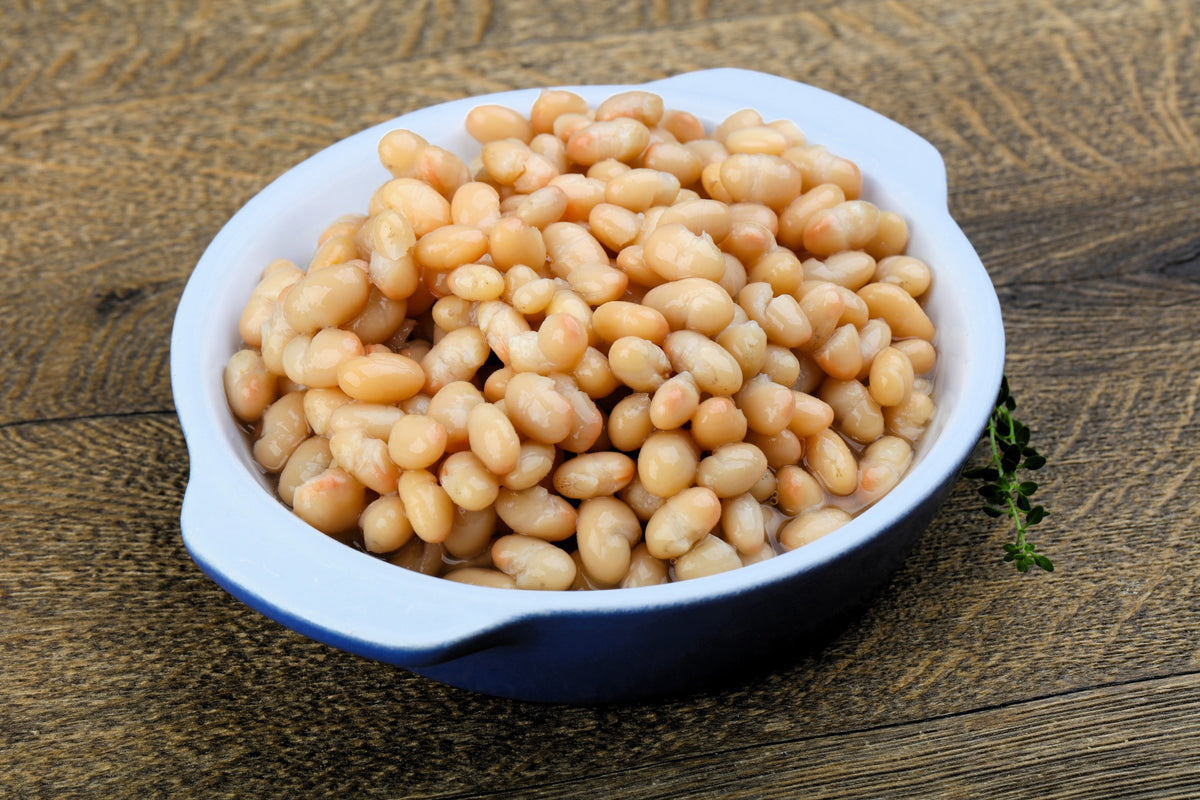 50 White GREAT NORTHERN BEAN Bush Phaseolus Vulgaris Vegetable Seeds