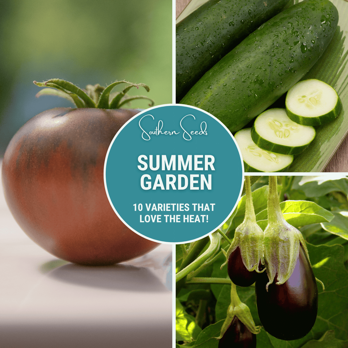 Summer Garden Seed Collection – 10 Heat-Loving Vegetables Including Beans, Cucumbers, Eggplants, Peppers, Tomatoes, Watermelon