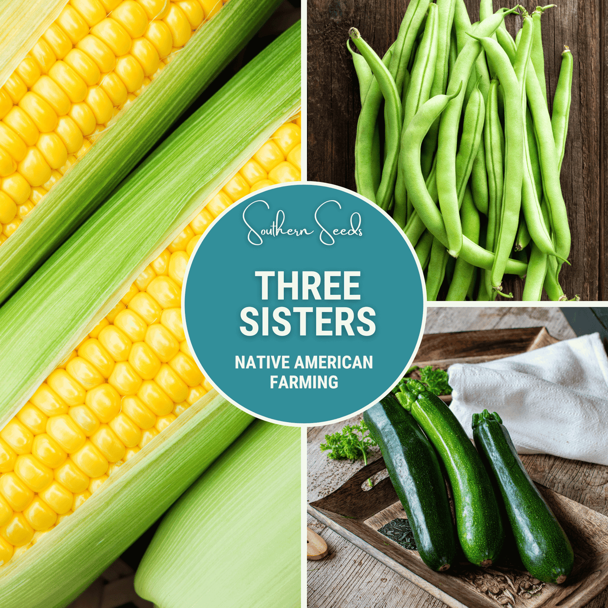Three Sisters Seed Collection Native American Farming Corn Beans Squash Heirloom Seeds