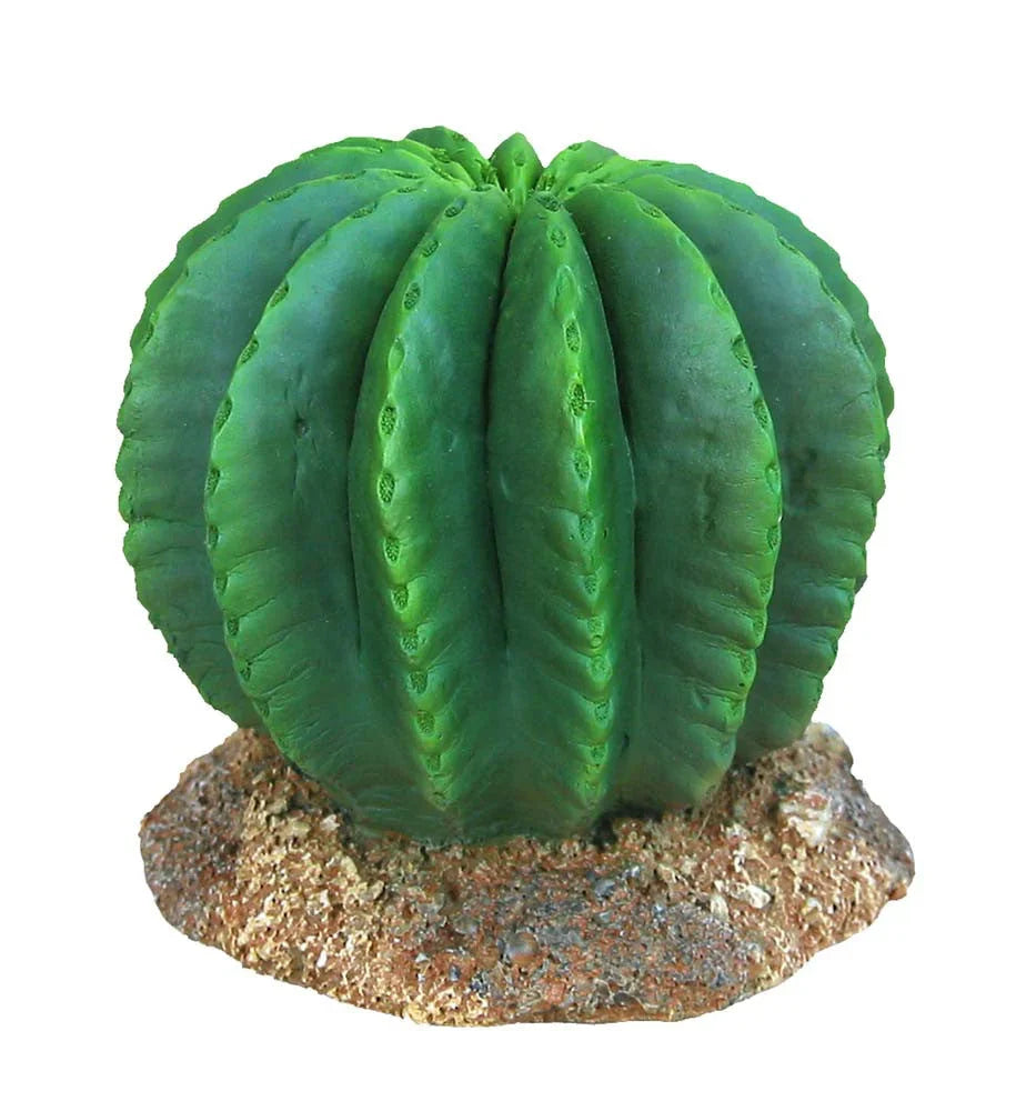 Weco Wecorama Badlands Golden Barrel Cactus