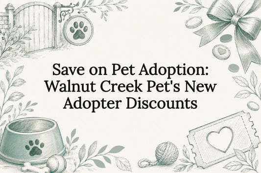 Pet adoption savings title card illustration