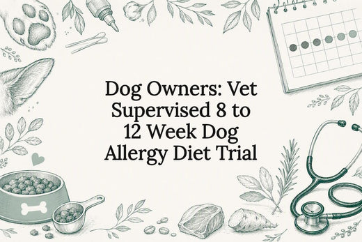 Dog allergy diet trial title card