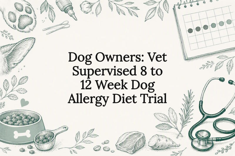 Dog allergy diet trial title card