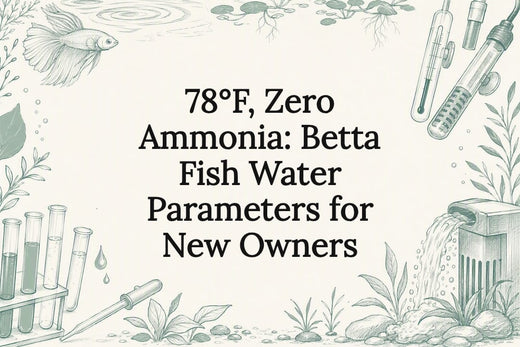 Decorative betta water parameters title card